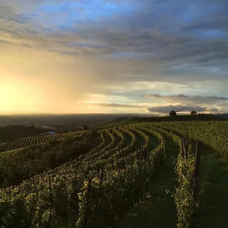 Villa In The Langhe With Park, Pool Spa Villa