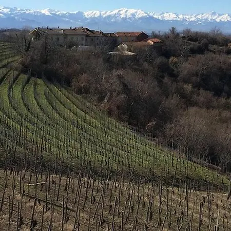 Villa Villa In The Langhe With Park, Pool Spa *